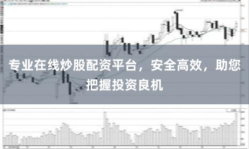 专业在线炒股配资平台,安全高效,助您把握投资良机