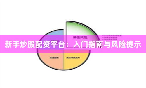 新手炒股配资平台：入门指南与风险提示