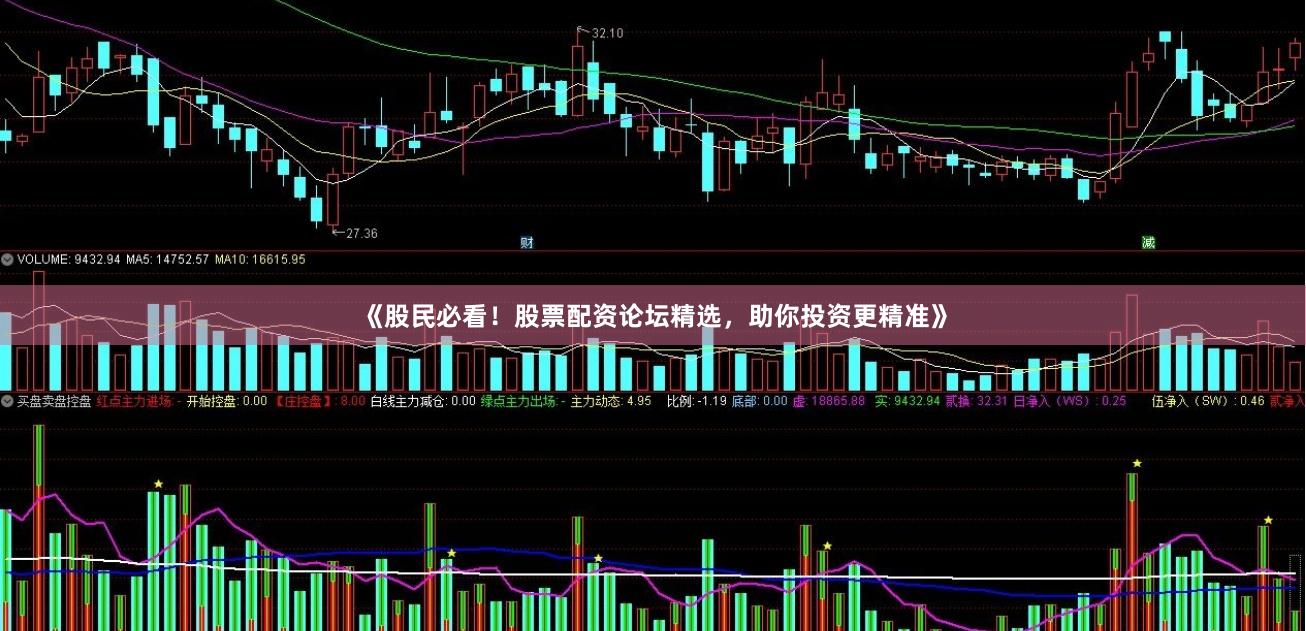 《股民必看！股票配资论坛精选，助你投资更精准》