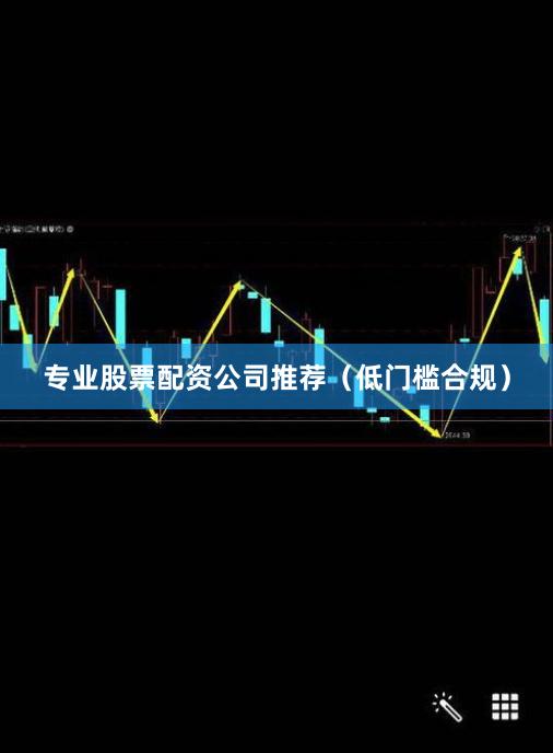 专业股票配资公司推荐（低门槛合规）