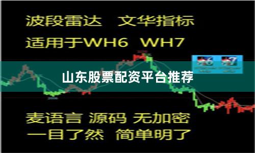 山东股票配资平台推荐